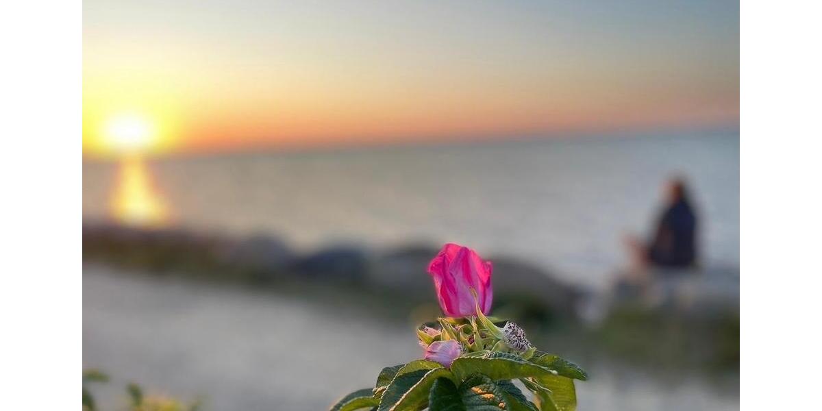 Einfamilienhaus Hohenfelde - 3 Zimmer, 50 m&sup2;, 900&euro; | Angebot:26305699