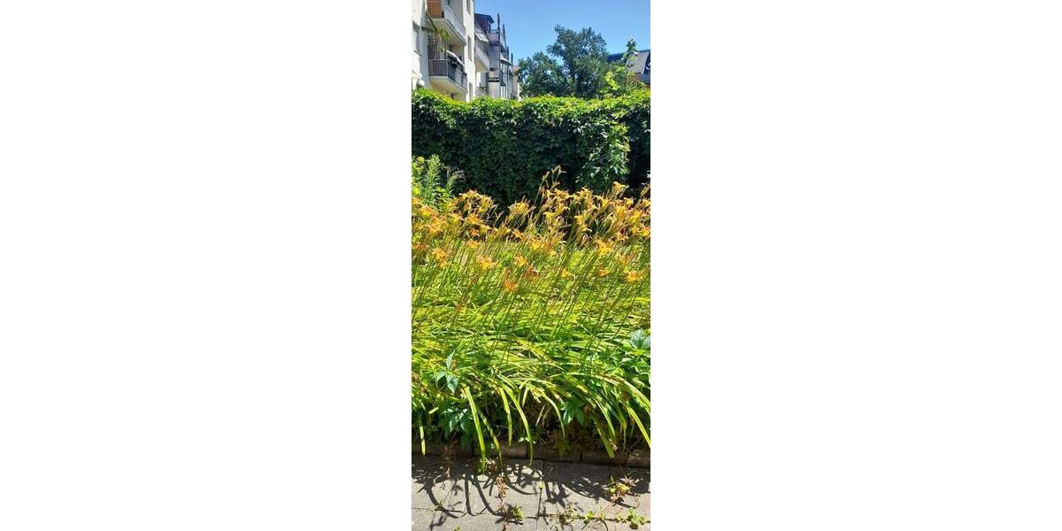 Etagenwohnung Weißenfels - 2 Zimmer, 65 m&sup2;, 450&euro; | Angebot:26438046