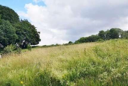 Grundstück zu verkaufen in Balesfeld 25.000 € 521 m² - Grundstück Balesfeld | Angebot:25477365