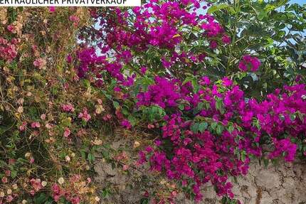 ERFURT MFH BAUJAHR 1995 ENERGIEKLASSE C Südlicher Panoramablick 1 zimmer