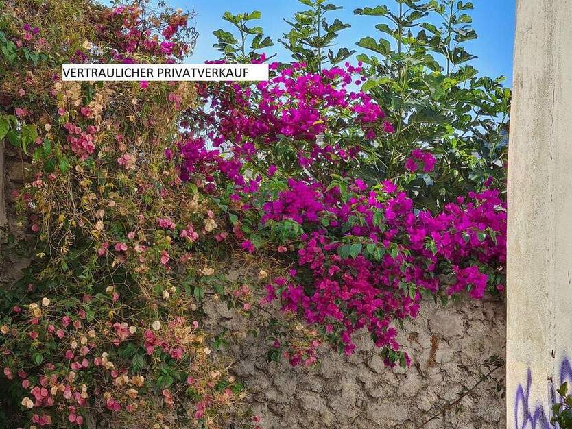 ERFURT MFH BAUJAHR 1995 ENERGIEKLASSE C Südlicher Panoramablick 1 zimmer