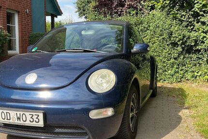VW Beetle