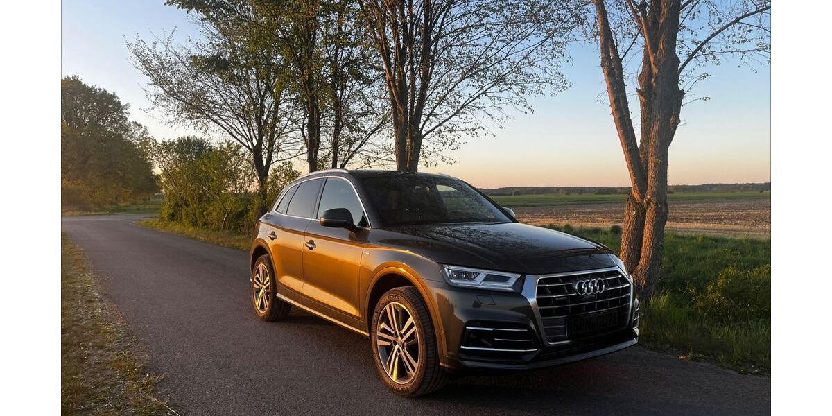 Audi Q5 95.373 km 40.000 &euro; Forst 03149