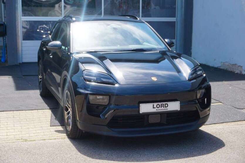 Macan