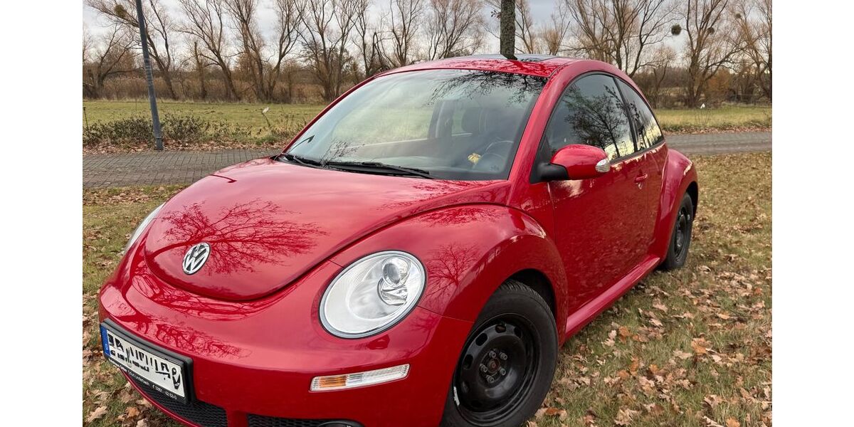 VW Beetle 58.000 km 5.999 &euro; Dresden 01109