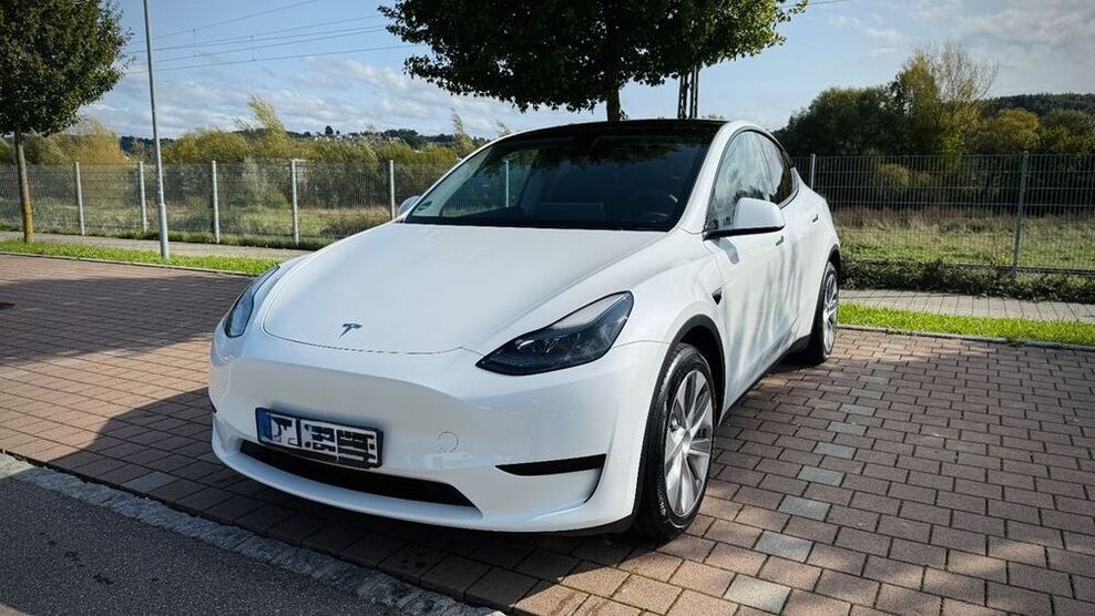 Model Y