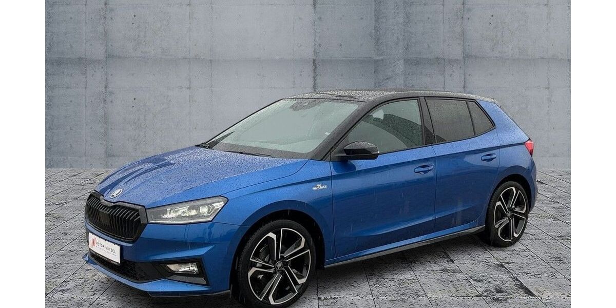 Skoda Fabia 1.100 km 28.570 &euro; Himmelkron 95502