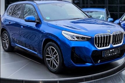 BMW X1 2.500 km 48.700 &euro; Wolnzach 85283