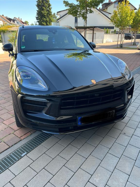 Macan