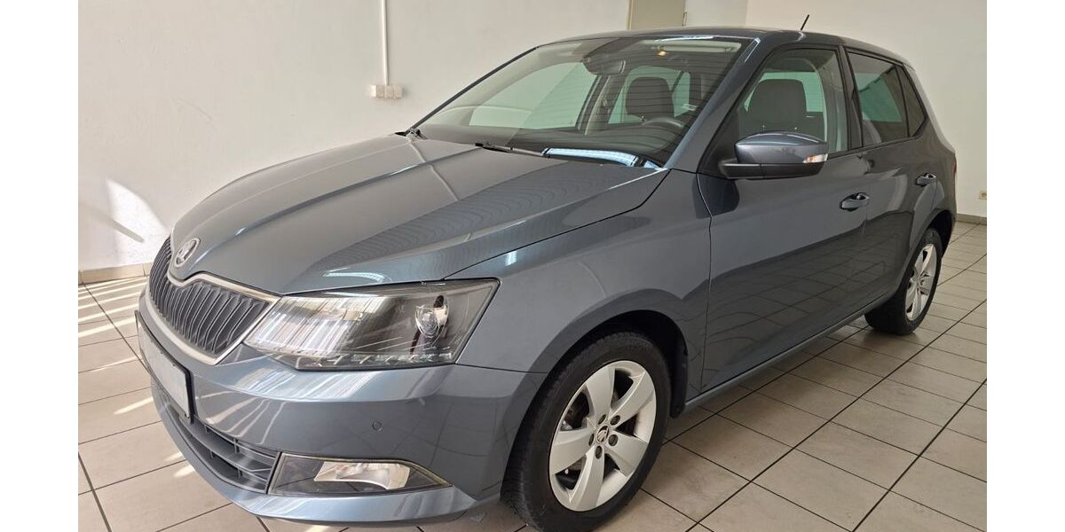 Skoda Fabia 35.000 km 12.990 € Chemnitz 09114