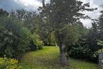 Einfamilienhaus Frankfurt (Oder) Booßen - 3 Zimmer, 125 m&sup2;, 265.000&euro; | Angebot:27291868
