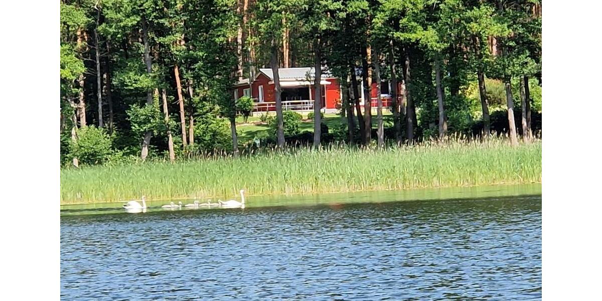 Bungalow Lindow (Mark) - 3 Zimmer, 131 m&sup2;, 898.000&euro; | Angebot:26819402