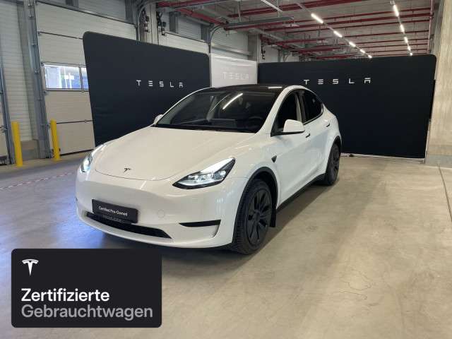 Model Y