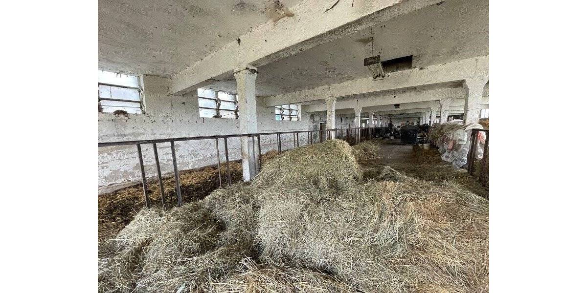 Grundstück Tambach-Dietharz Dietharz - 249.000&euro; | Angebot:19293566