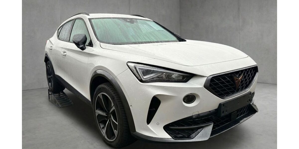 Cupra Formentor 104.500 km 25.890 &euro; Weißenfels 06667