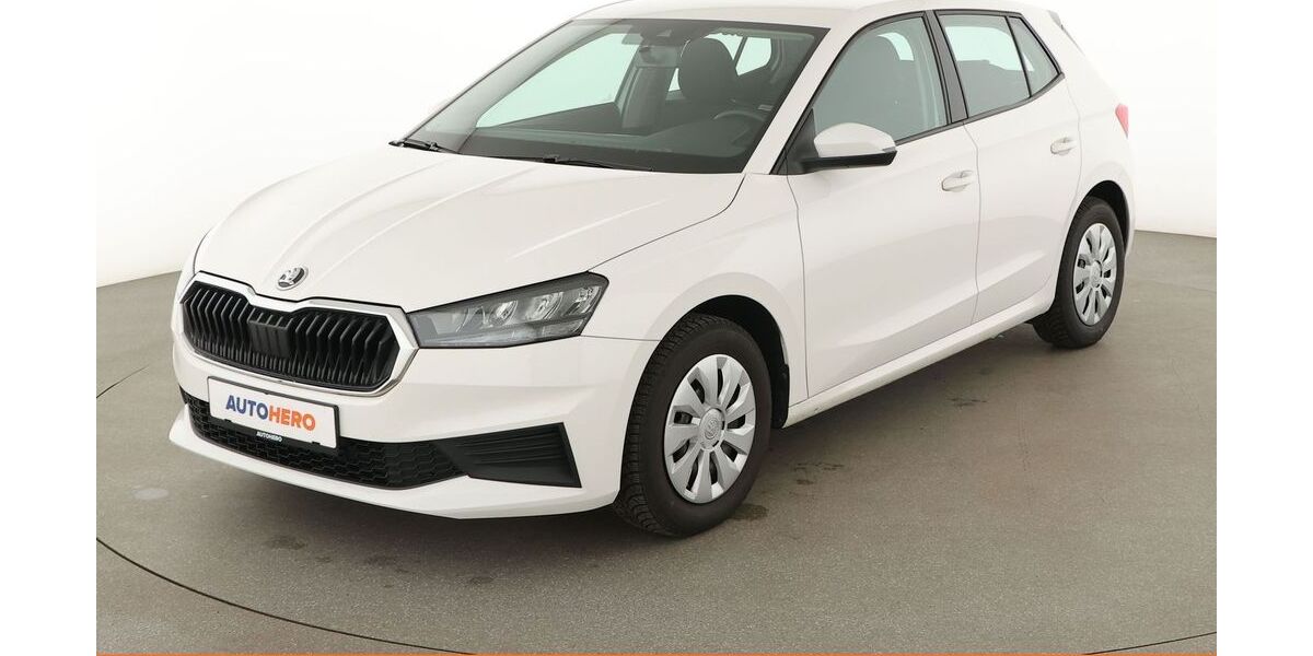 Skoda Fabia 47.036 km 13.120 &euro; Dresden 01187