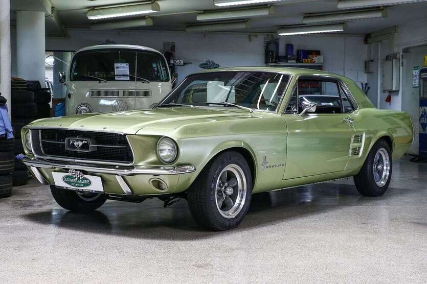 Mustang