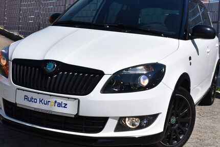 Skoda Fabia 101.500 km 7.900 € LUDWIGSHAFEN am RHEIN 67065