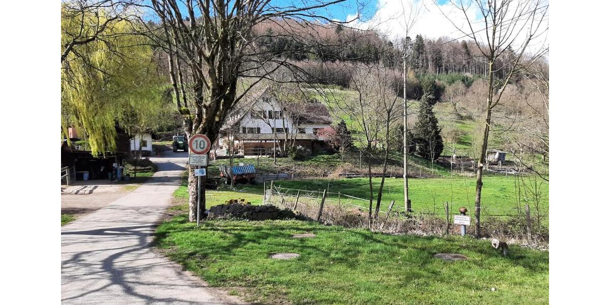 Einfamilienhaus Berghaupten - 880.000&euro; | Angebot:26991648