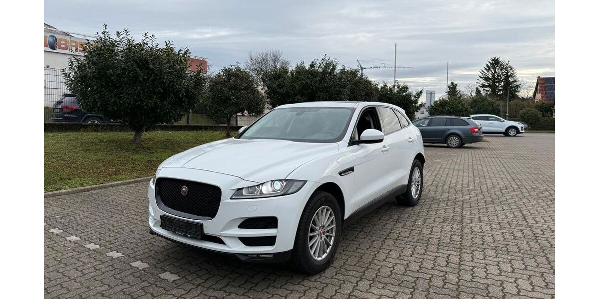 Jaguar F-Pace 183.700 km 16.900 &euro; Worms 67547