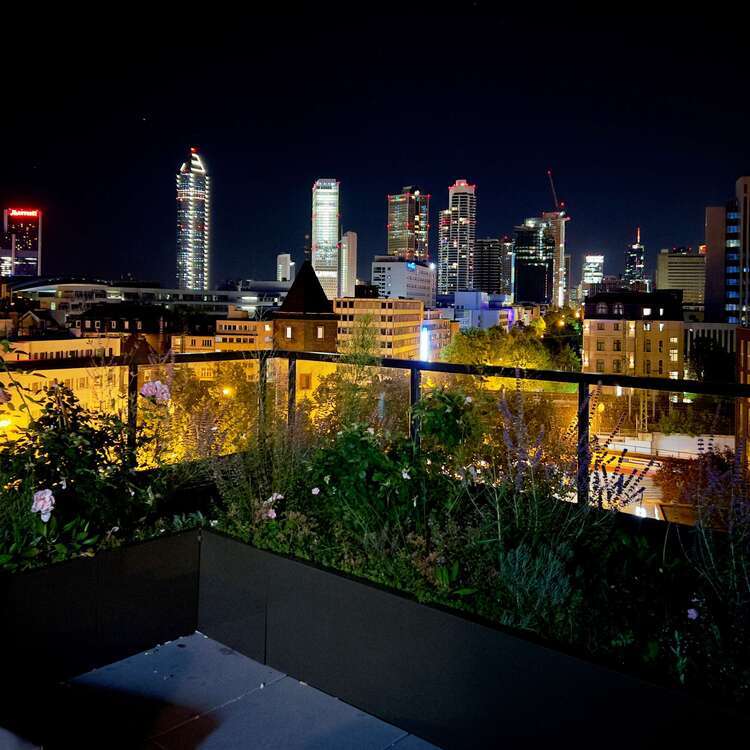Wohnung zum Kaufen in Frankfurt 450.000 € 37 m²
