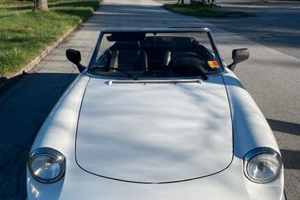 Alfa Romeo Spider 54.000 km 10.500 &euro; Regen 94209
