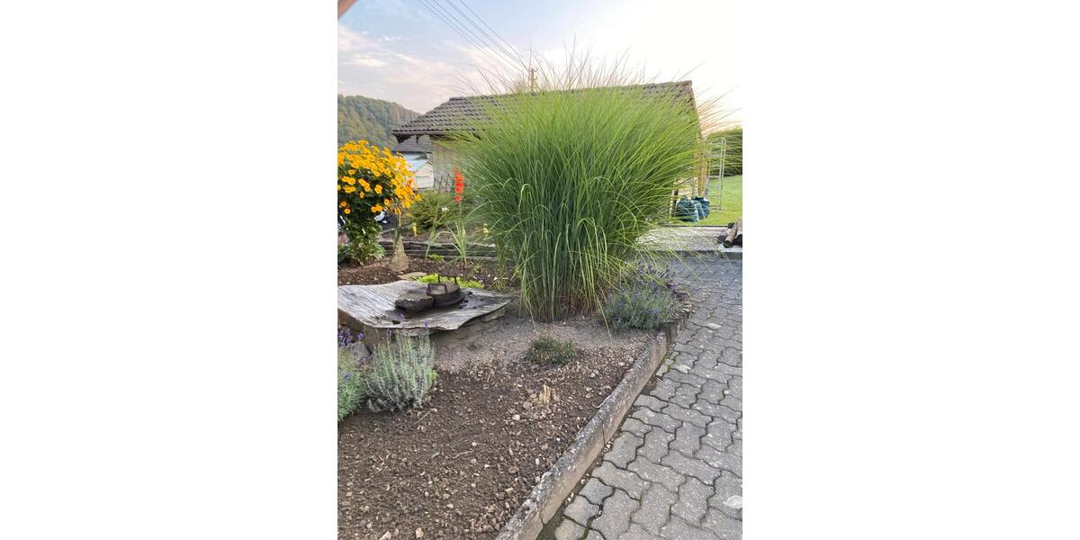Einfamilienhaus Netphen - 6 Zimmer, 120 m&sup2;, 310.000&euro; | Angebot:25052872