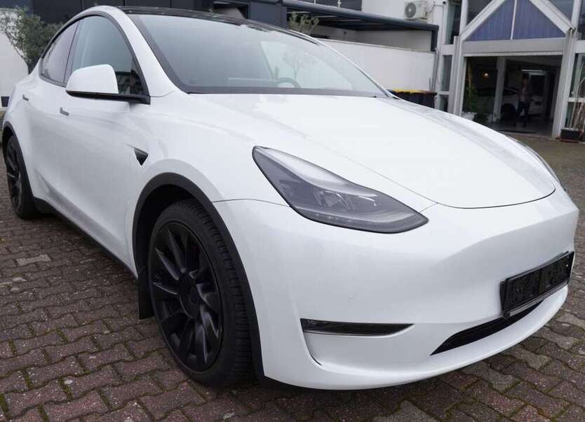 Model Y