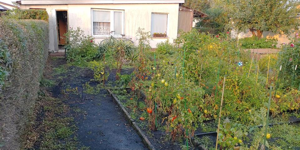 GARTEN in Senftenberg