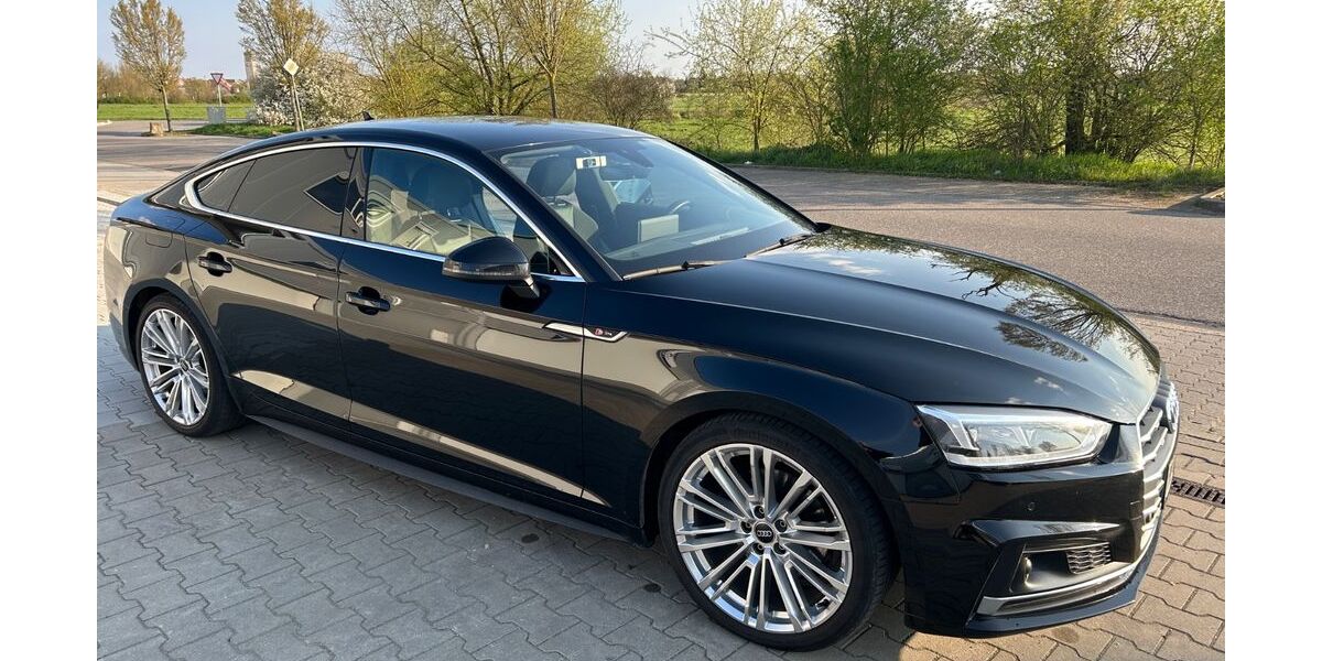 Audi A5 196.000 km 16.900 &euro; Hockenheim 68766