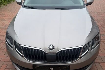 Skoda Octavia 208.000 km 8.000 &euro; Schüttorf 48465