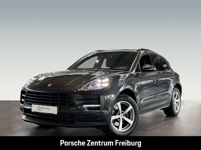 Macan