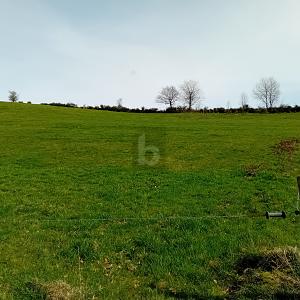GRUNDSTÜCK MIT BAUPOTENZIAL UND WEITBLICK - Grundstück Burbach | Angebot:26421161
