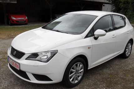 Seat Ibiza 117.838 km 3.600 &euro; Thannhausen 86470