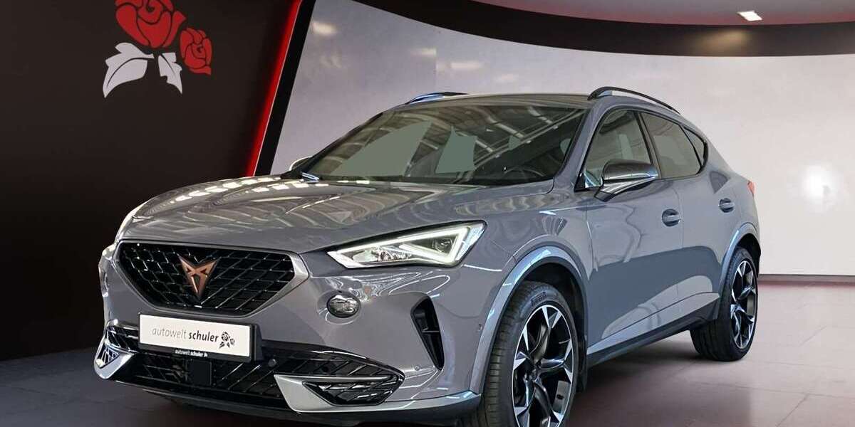 Cupra Formentor 65.600 km 24.970 &euro; Zimmern-Horgen 78658