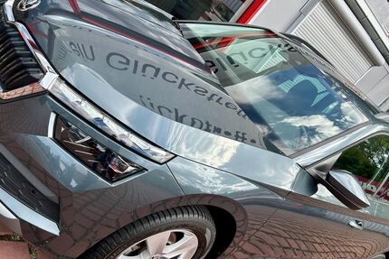 Skoda Kamiq 41.760 km 17.950 &euro; Pirna/ Dresden 01796