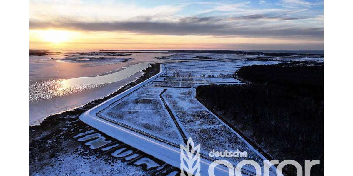 Grundstück Zingst - 119.900&euro; | Angebot:26447070