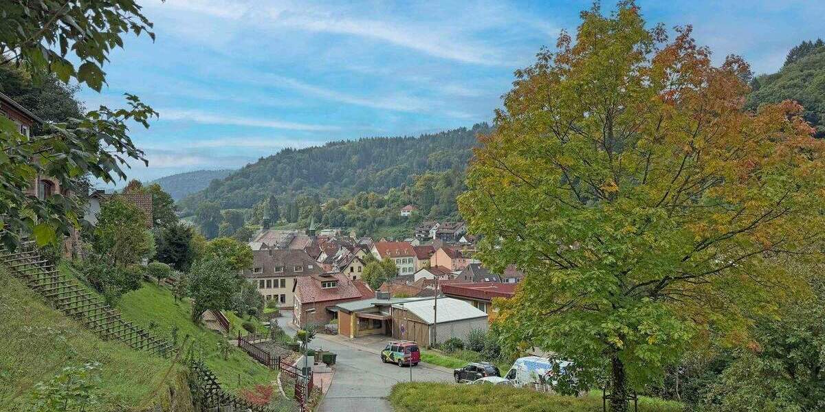 Grundstück Schönau - 98.000&euro; | Angebot:25733918