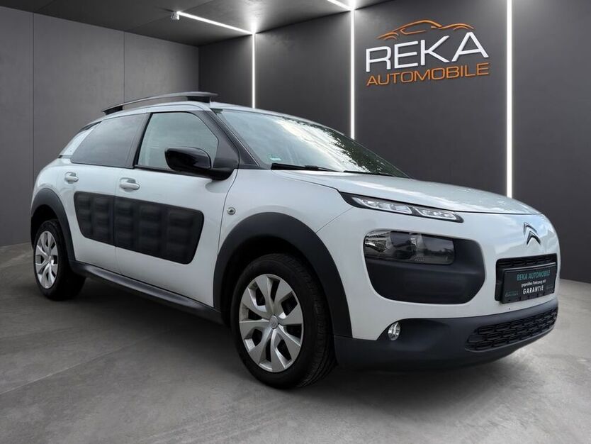 C4 Cactus