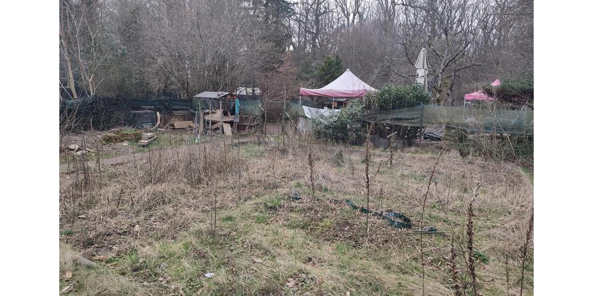 Grundstück Köln Mülheim - 450&euro; | Angebot:25984551