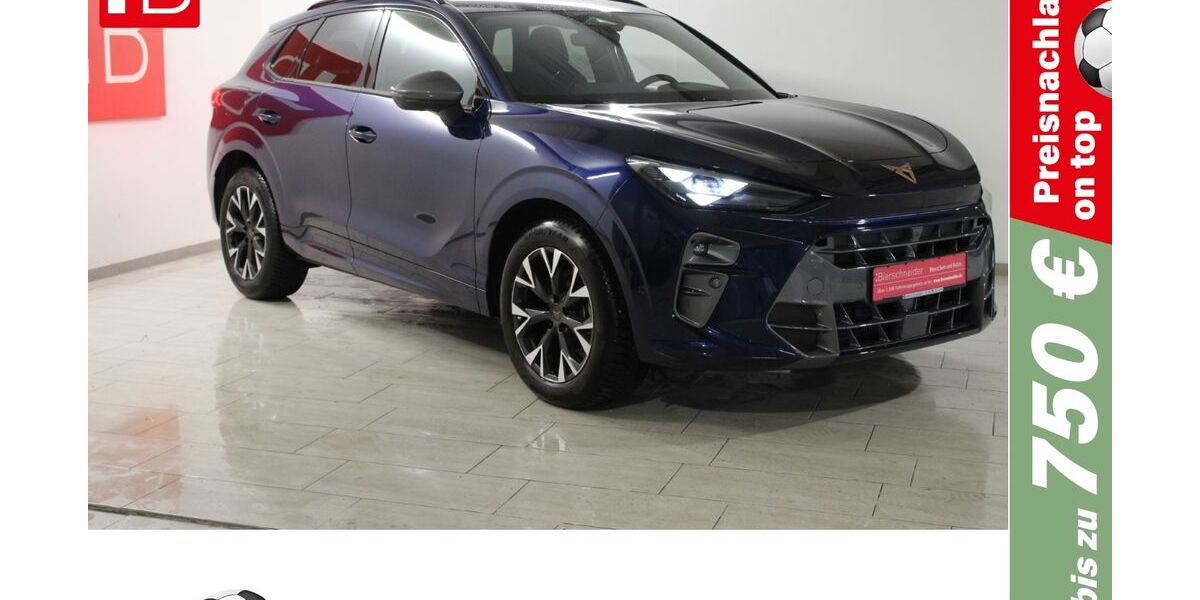 Cupra Terramar 25.772 km 30.490 &euro; Schopfloch 91626