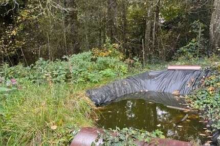 Grundstück zu verkaufen in Bernried 219.900 € 1276 m² zimmer