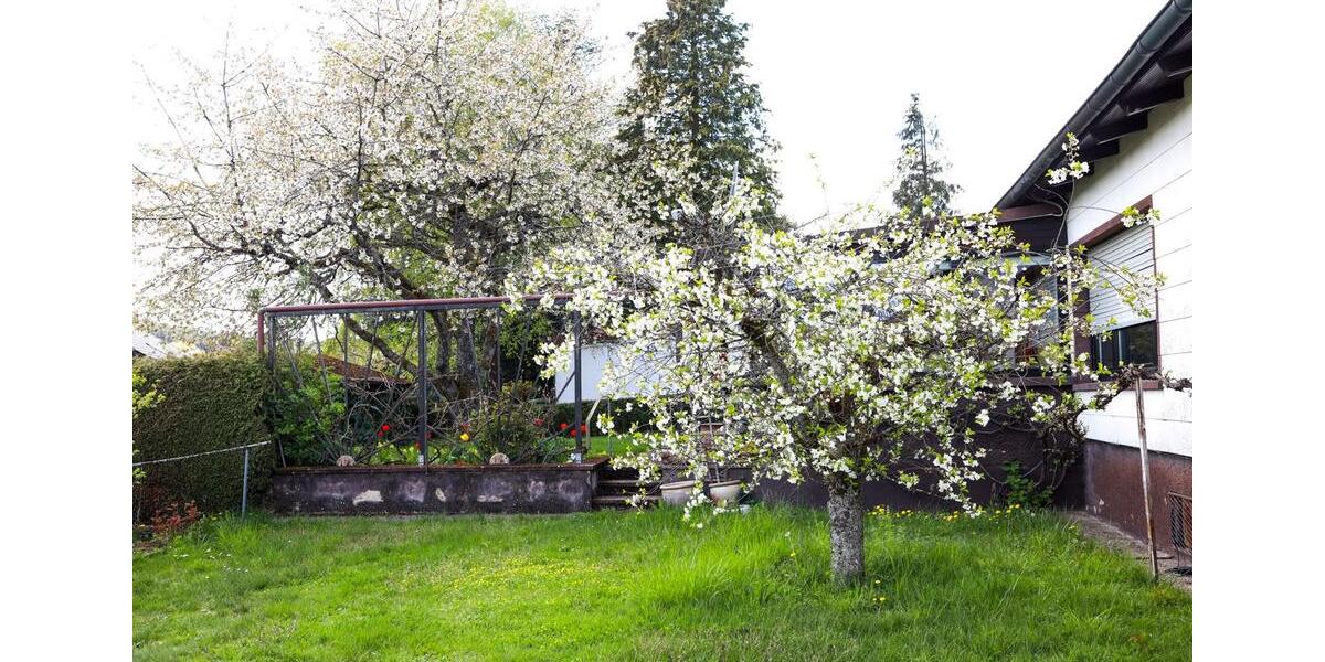 Einfamilienhaus Freisen - 5 Zimmer, 161 m&sup2;, 264.000&euro; | Angebot:26918968