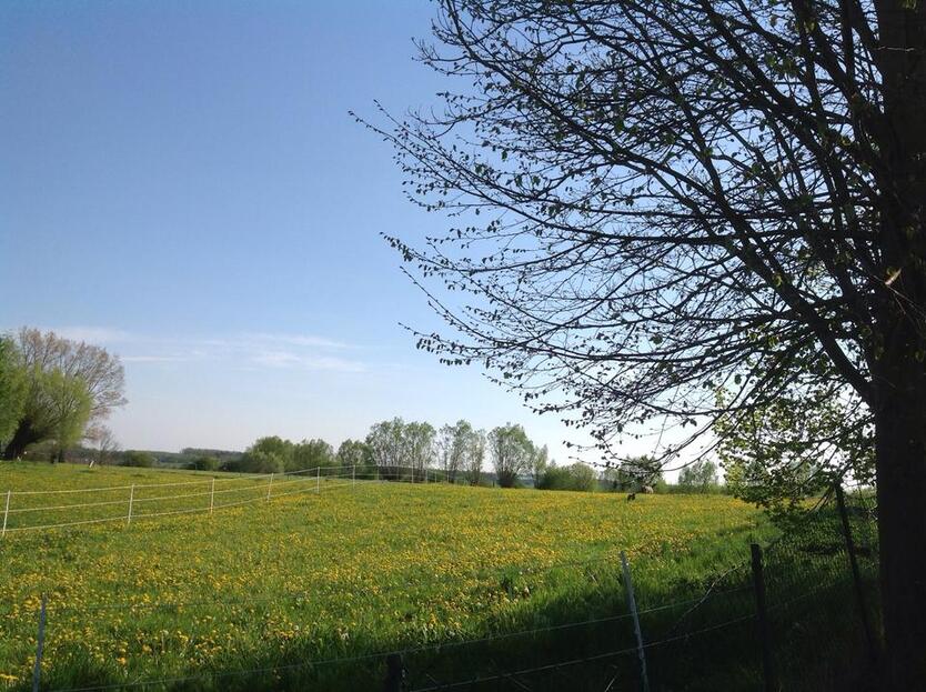 2 Zimmerwohnung in Jürgenshagen ca 52 Quadratmeter