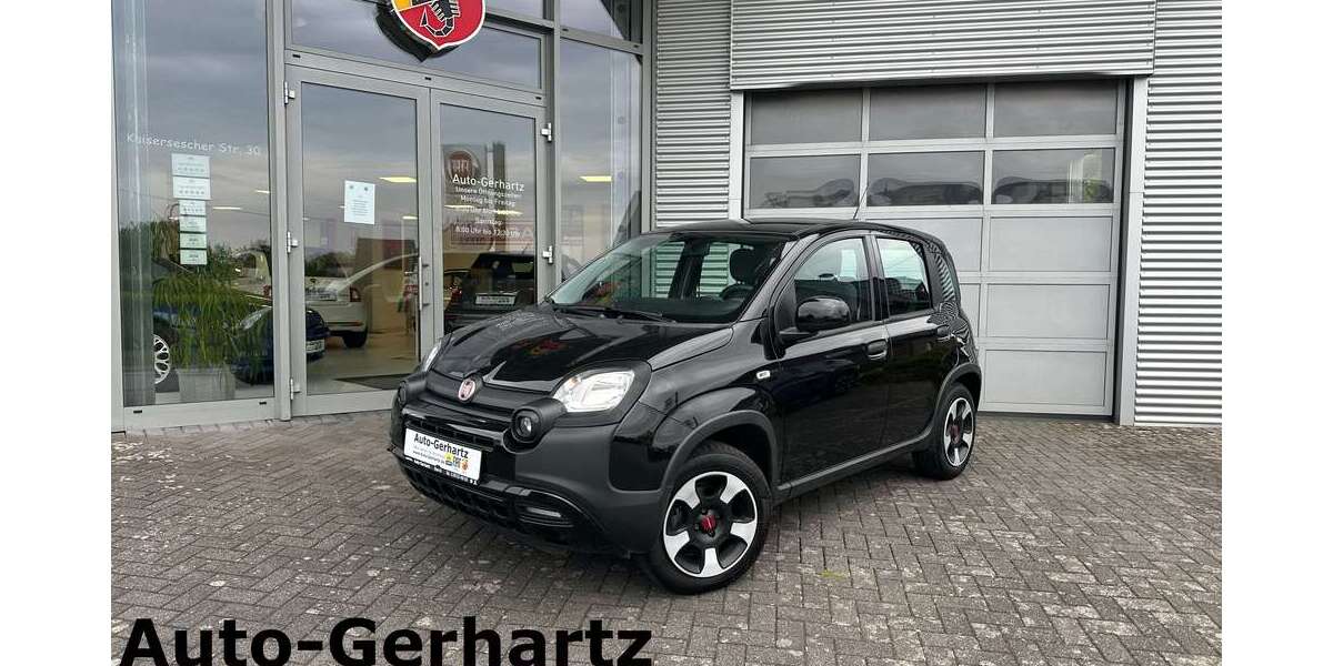 Fiat Panda 28.716 km 10.990 &euro; Illerich 56814