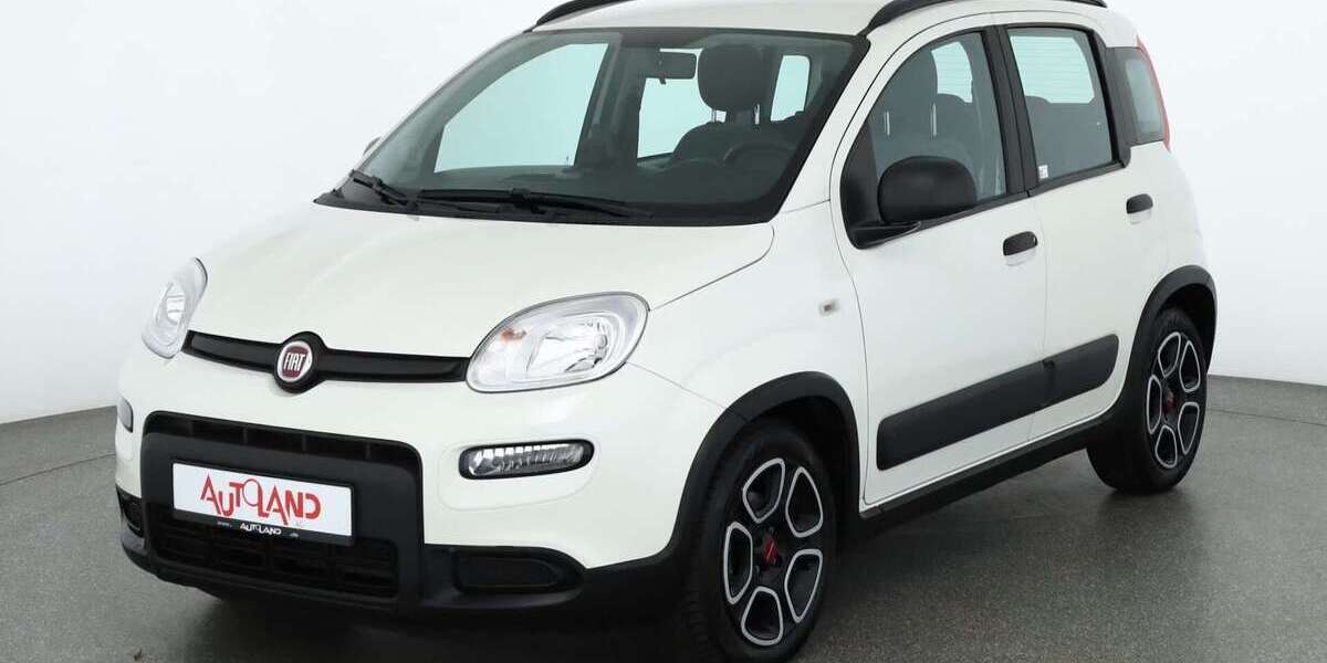 Fiat Panda 49.821 km 11.990 &euro; Naumburg OT Schönburg 06618