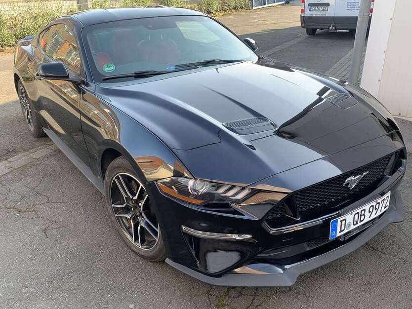 Mustang