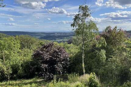 Grundstück Kelkheim-OT OT - 550.000&euro; | Angebot:25284173