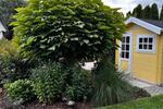 Einfamilienhaus Scheyern - 16 Zimmer, 610 m&sup2;, 3.700.000&euro; | Angebot:25988726