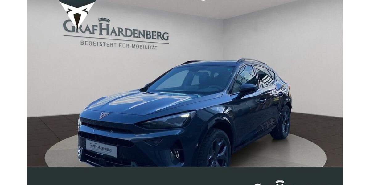 Cupra Formentor 17.536 km 35.990 &euro; Landau 76829